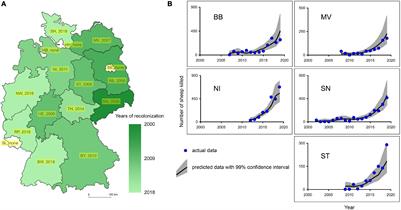 Large-Scale Sheep Losses to Wolves (Canis lupus) in Germany Are Related to the Expansion of the Wolf Population but Not to Increasing Wolf Numbers